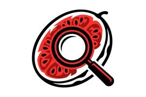 佐佐 波绫 - 吃瓜社Logo